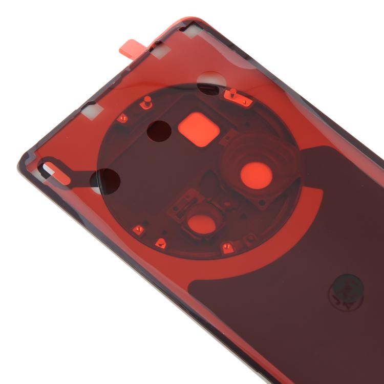 For vivo X100 Ultra 5G V2366GA V2366HA Original Back Cover with Camera Lens Cover(Titanium) - Back Cover by buy2fix | Online Shopping UK | buy2fix