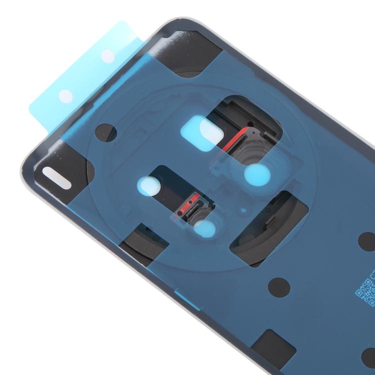 For vivo X200 Pro 5G Original Back Cover with Camera Lens Cover(Titanium) - Back Cover by buy2fix | Online Shopping UK | buy2fix