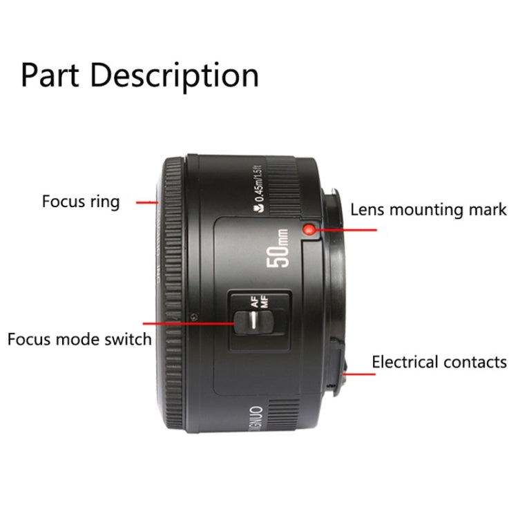 YONGNUO 50mm F1.8 Standard Prime Lens for Canon Camera - Auxiliary Lens by YONGNUO | Online Shopping UK | buy2fix