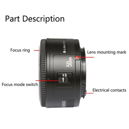 YONGNUO 50mm F1.8 Standard Prime Lens for Canon Camera - Auxiliary Lens by YONGNUO | Online Shopping UK | buy2fix