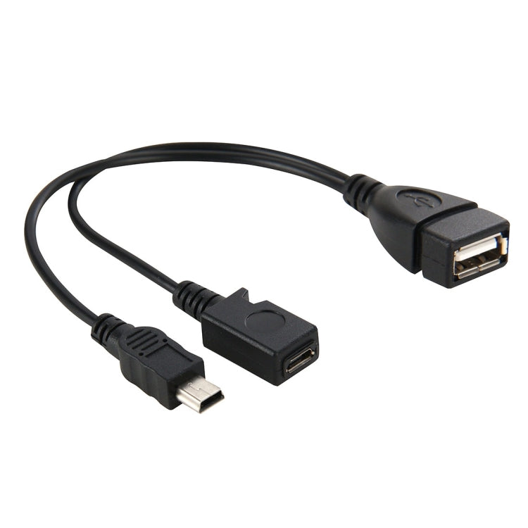 USB 2.0 Female to Mini USB AM + Micro 5 Pin AF Cable, Length: 20cm by buy2fix