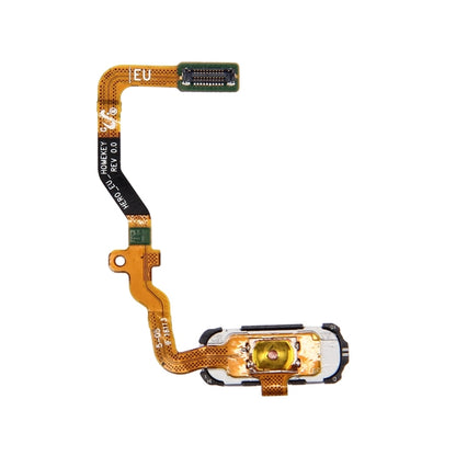 For Galaxy S7 / G930 Home Button Flex Cable(White) - Flex Cable by buy2fix | Online Shopping UK | buy2fix