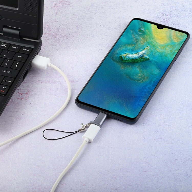 Mini Portable USB to Type-C & USB-C Converter Adapter with OTG(Grey) by buy2fix