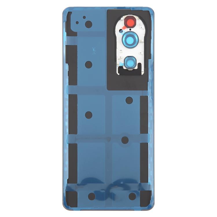 For vivo V40 Pro Battery Back Cover with Camera Lens Cover(Gray) - Back Cover by buy2fix | Online Shopping UK | buy2fix