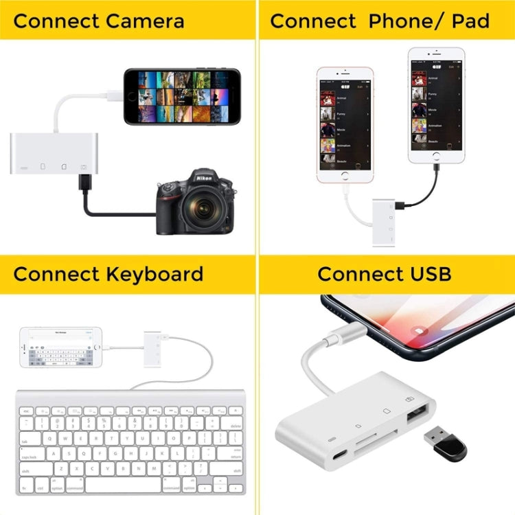 ZS-S1827 4 in 1 SD Card + TF Card + 8 Pin Charge + USB Interface to 8 Pin Interface Camera Reader Adapter, Support All iOS System by buy2fix