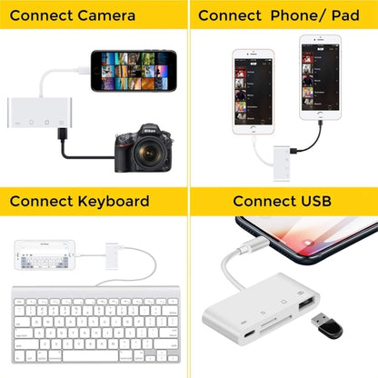 ZS-S1827 4 in 1 SD Card + TF Card + 8 Pin Charge + USB Interface to 8 Pin Interface Camera Reader Adapter, Support All iOS System by buy2fix
