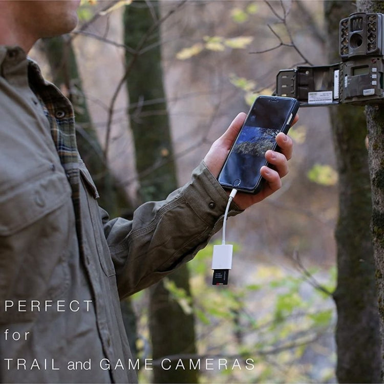 ZS-KL21810 8 Pin to SD Card Camera Card Reader Adapter, Support All iOS System by buy2fix