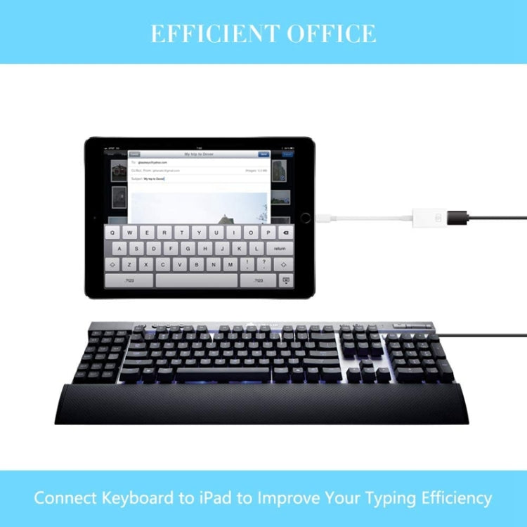 FA-STAR ZS-KL21826 8 Pin to USB 3.0 OTG Adapter, Supports IOS 13 and Above by buy2fix