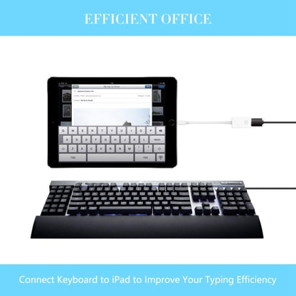 FA-STAR ZS-KL21826 8 Pin to USB 3.0 OTG Adapter, Supports IOS 13 and Above by buy2fix