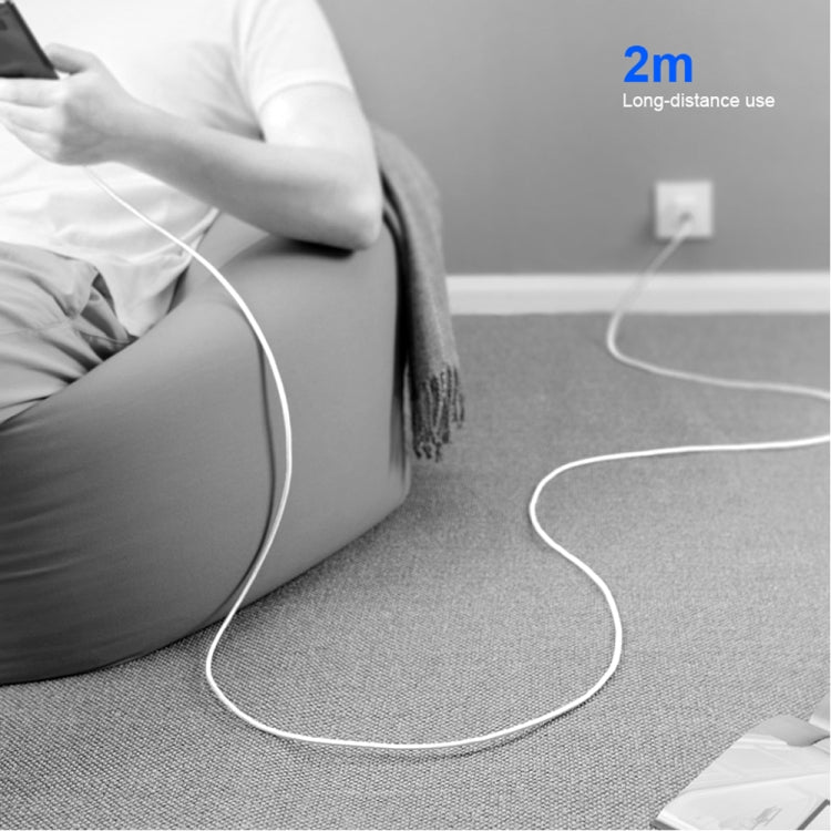 2 in 1 PD 30W USB-C / Type-C + 3A PD 3.0 USB-C / Type-C to USB-C / Type-C Fast Charge Data Cable Set, Cable Length: 2m, AU Plug - USB Charger by buy2fix | Online Shopping UK | buy2fix