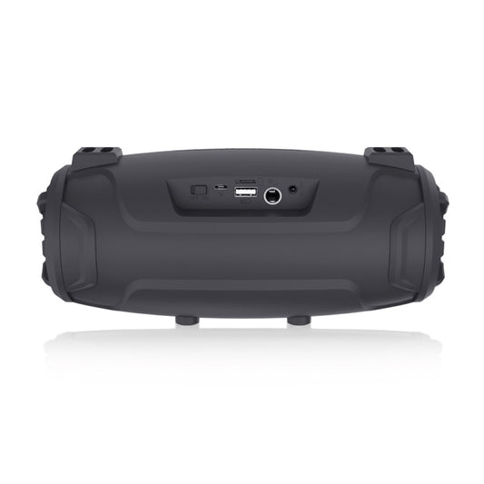 NewRixing NR3026M TWS Outdoor Portable K-song Bluetooth Speaker with Shoulder Strap & Microphone, Support TF Card / FM(Black) - Desktop Speaker by NewRixing | Online Shopping UK | buy2fix