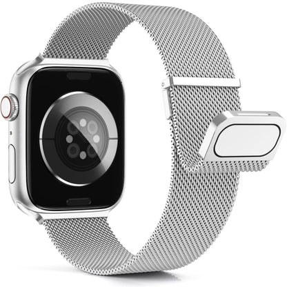 For Apple Watch 5 40mm Milan Double Magnetic Steel Mesh Watch Band(Silver) - Watch Bands by buy2fix | Online Shopping UK | buy2fix
