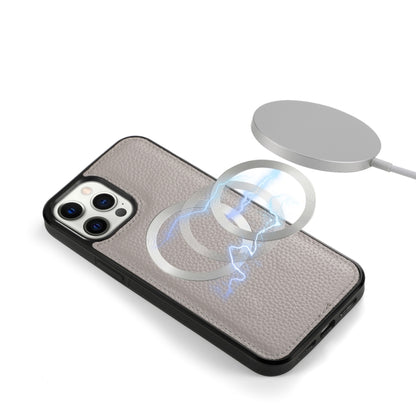 For iPhone 12 Pro MagSafe Crossbody Multi-functional Zipper Wallet Litchi Leather Phone Case(Grey) by buy2fix