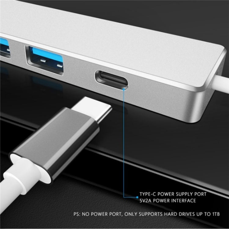 ADS-301C USB-C / Type-C to USB-C + USB 3.0 + 3 x USB 2.0 Expander HUB(Grey) by buy2fix