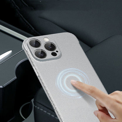 For iPhone 16 Pro Frameless Litchi Texture PC Phone Case(Titanium Silver) - iPhone 16 Pro Cases by buy2fix | Online Shopping UK | buy2fix