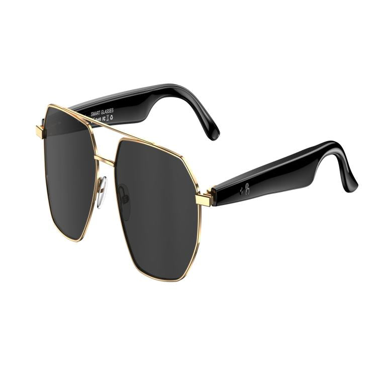 W100C Smart Glasses, Support AI Conversation / AI Intelligent Translation / Bluetooth Call(Black) - Smart Glasses by buy2fix | Online Shopping UK | buy2fix