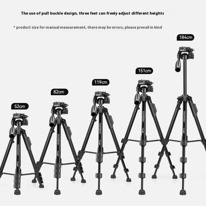 YUNTENG VCT-669 For Live Streaming Video Recording Camera Tripod Smartphone Selfie Mount - Tripods by YUNTENG | Online Shopping UK | buy2fix