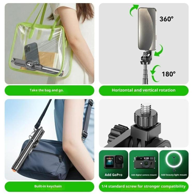 SYA0031560_5.jpg@21d4d51993cd36e26fad731da2fad36b