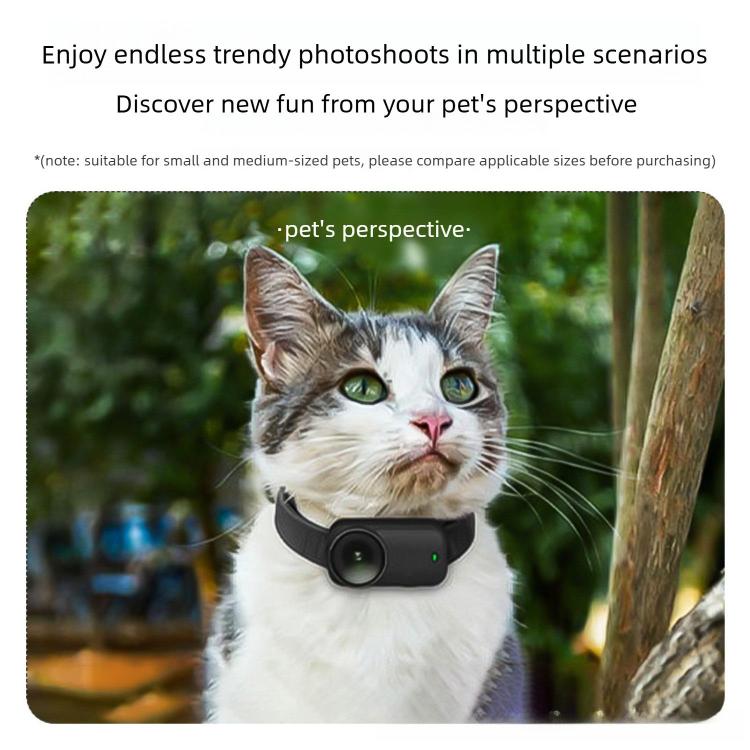 SYA0032220_B7.jpg@f936fd7dbc8939697958ae05d6c5fdb0