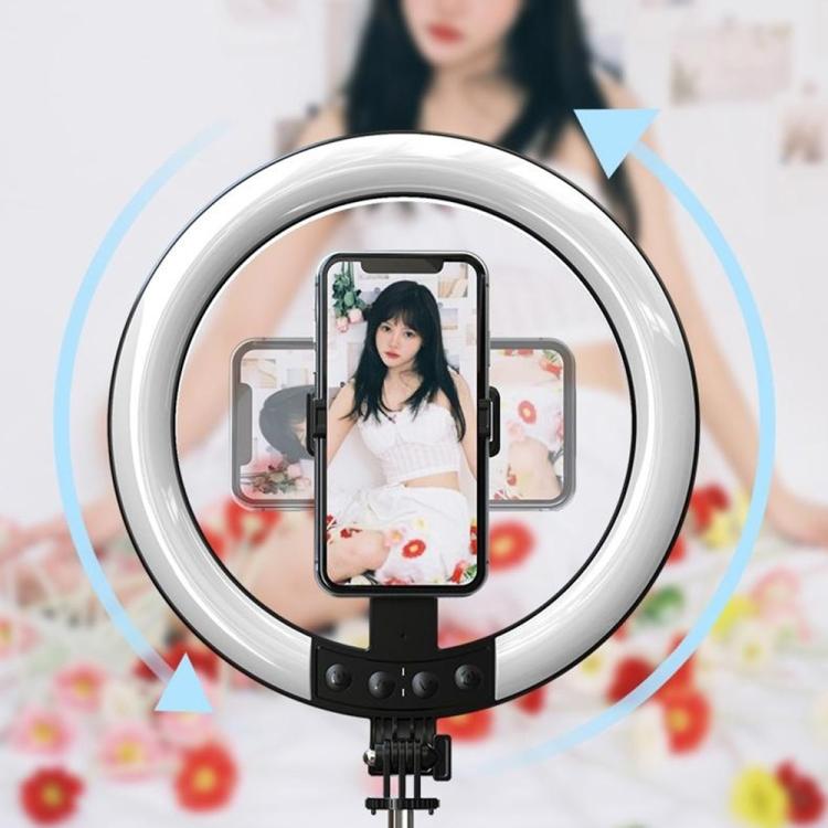 SYA0032348_10.jpg@386924b410045b4d7625170072d20e45