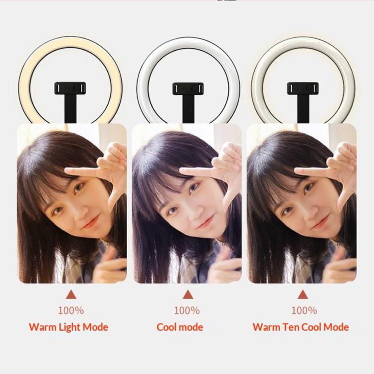 SYA0032348_8.jpg@98c5f72068e81084d7f269a0ed85fcab