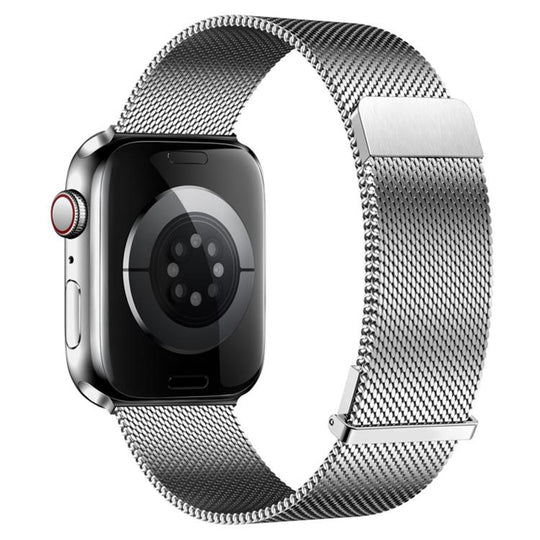 For Apple Watch 46mm / 49mm / 45mm / 44mm Plain Two-Section Dual Magnetic Milanese Metal Watch Band(Silver)