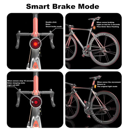 Bicycle Smart Sensor Brake Light USB Tail Light Warning Light(Silver) by buy2fix