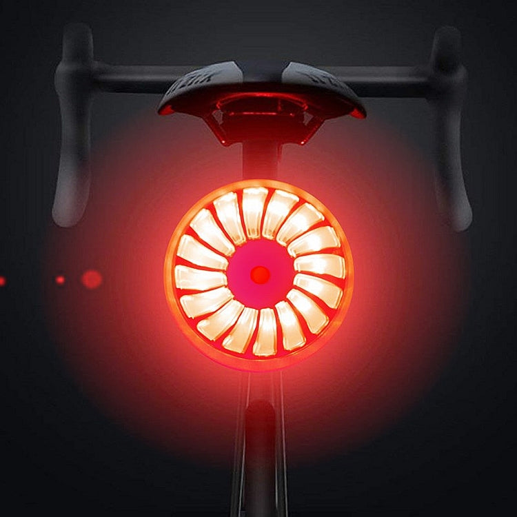 Bicycle Smart Sensor Brake Light USB Tail Light Warning Light(Silver) by buy2fix