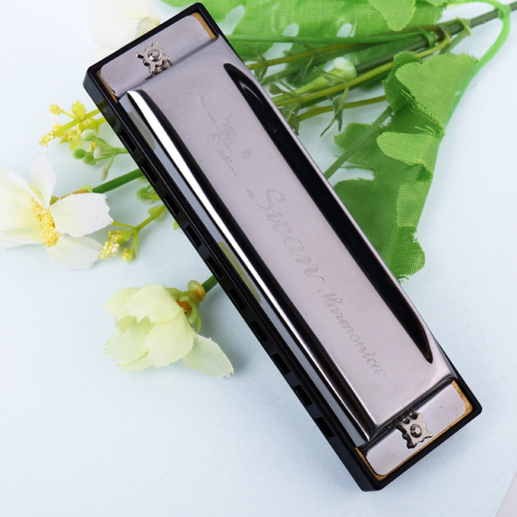 Swan 10 Holes Full-scale Bruce Harmonica Beginner Children Adult Students Playing Musical Instruments - Wind Instrument Accessories by buy2fix | Online Shopping UK | buy2fix