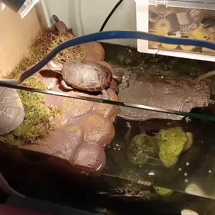 Large Water Turtle Sun Terrace Floating Island Calcium Supplement Sun Back Climbing Platform - Reptile Supplies by buy2fix | Online Shopping UK | buy2fix