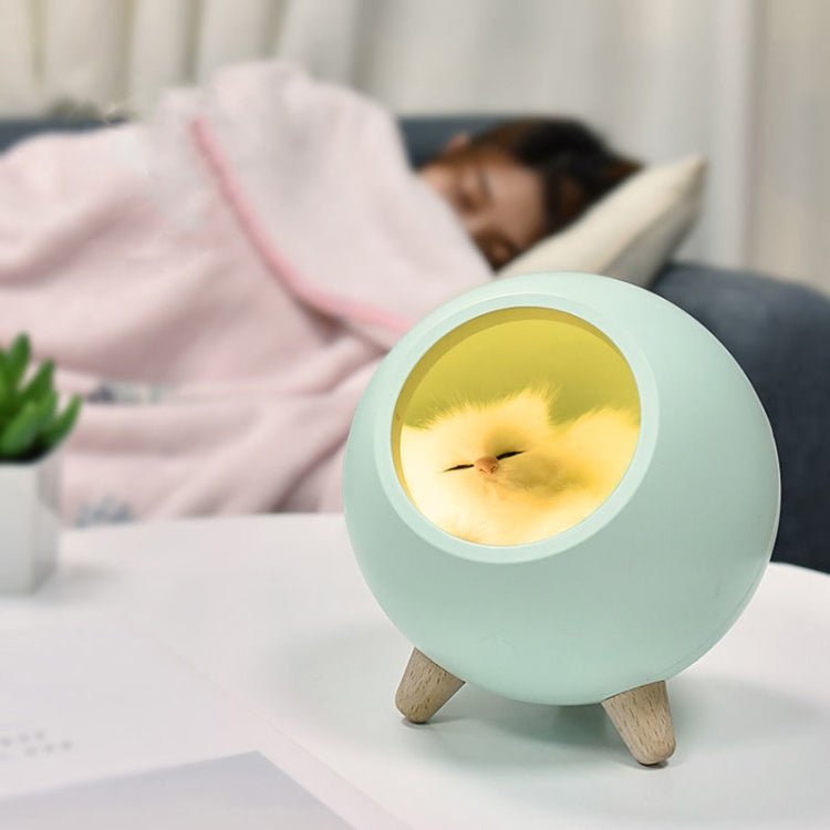 Pet Housing Bluetooth Nightlight Rechargeable Little Cat Desktop Night Light(Green) by buy2fix