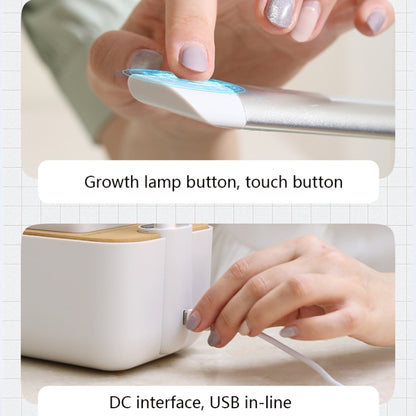 H003 Intelligent Hydroponic Vegetable Planting Machine Full-Spectrum Plant Growth Lamp Soil-Cultivation Vegetable Flower Pot(No Temperature Display) by buy2fix