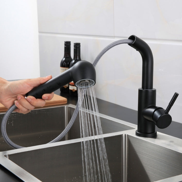 304 Stainless Steel Kitchen Sink Pull-out Faucet by buy2fix