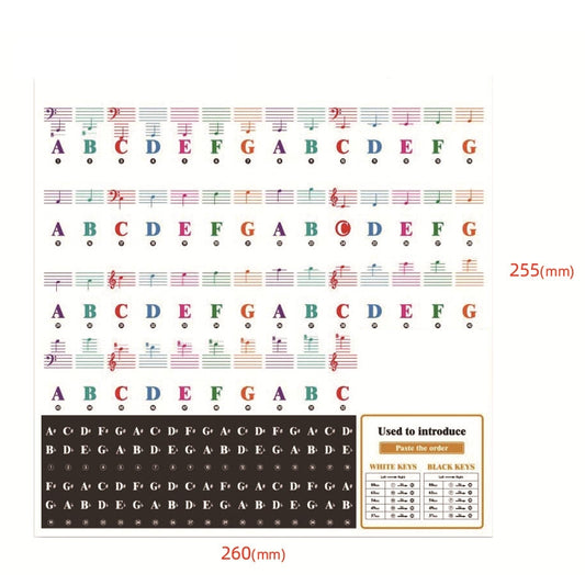 QT-005-A 5PCS Children Piano Keyboard Color Stickers Musical Instrument Accessories - Keyboard Accessories by buy2fix | Online Shopping UK | buy2fix