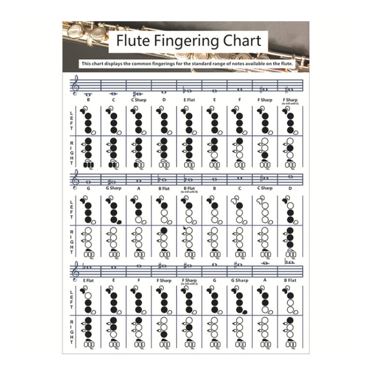 Coated Paper Flute Chord Fingering Practice Chart Staff Chord Fingering(Small) - Other Accessories by buy2fix | Online Shopping UK | buy2fix