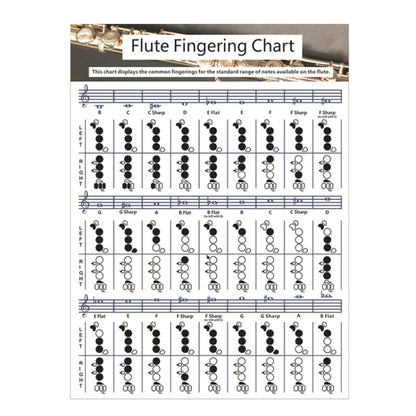 Coated Paper Flute Chord Fingering Practice Chart Staff Chord Fingering(Small) - Other Accessories by buy2fix | Online Shopping UK | buy2fix