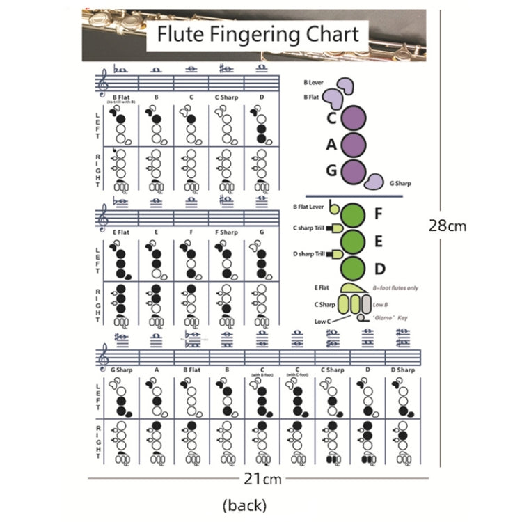 Coated Paper Flute Chord Fingering Practice Chart Staff Chord Fingering(Small) - Other Accessories by buy2fix | Online Shopping UK | buy2fix