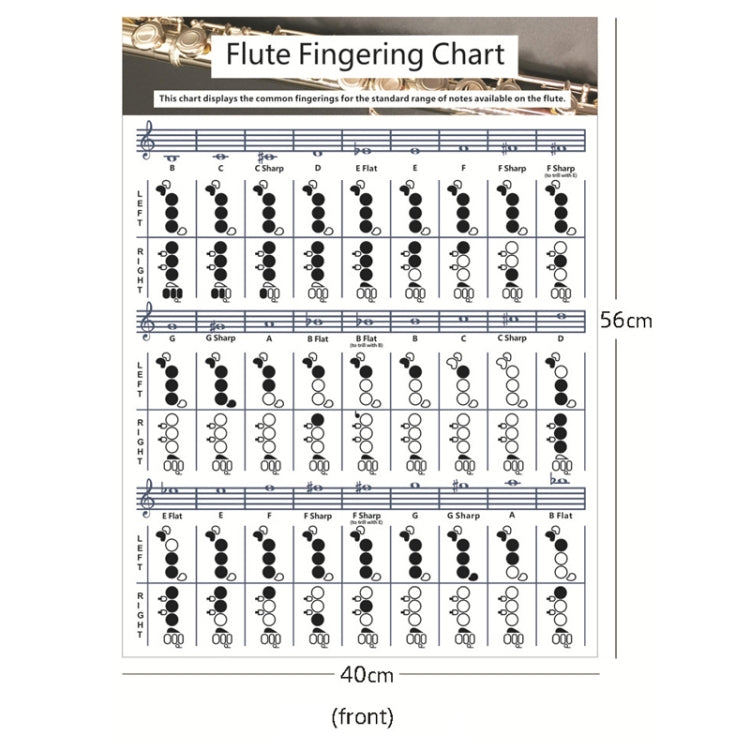 Coated Paper Flute Chord Fingering Practice Chart Staff Chord Fingering(Large) - Other Accessories by buy2fix | Online Shopping UK | buy2fix