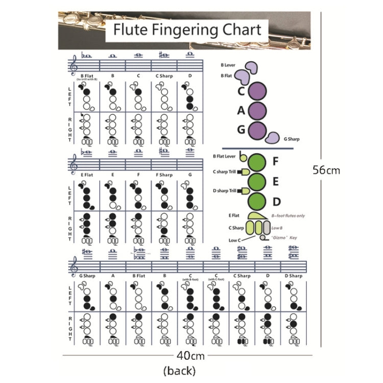 Coated Paper Flute Chord Fingering Practice Chart Staff Chord Fingering(Large) - Other Accessories by buy2fix | Online Shopping UK | buy2fix