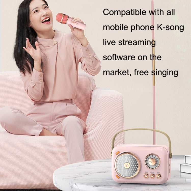 POLVCDG B152 Multi-Functional Small Family KTV Karaoke Microphone Sound Integration(Pink) - Desktop Speaker by POLVCDG | Online Shopping UK | buy2fix