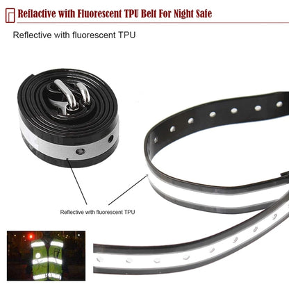 Outdoor Wireless Electronic Pet Fence Night Reflective Collar, Specification: One for Two(EU Plug) by buy2fix