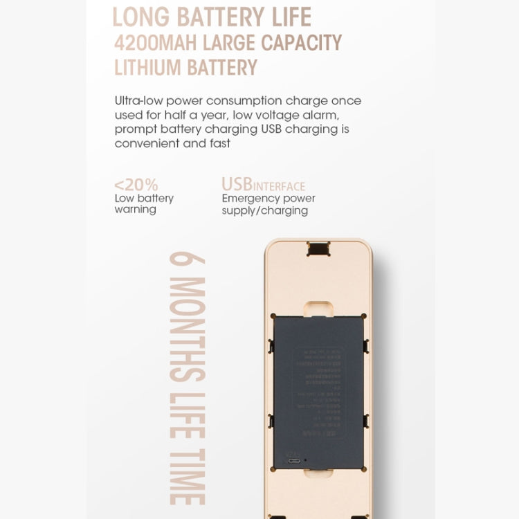 T100A 3D Face Recognition Fingerprint Code Card Digital Door Lock(Rose Gold) by buy2fix