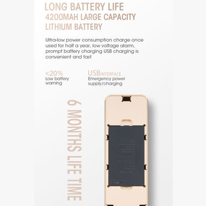 T100A 3D Face Recognition Fingerprint Code Card Digital Door Lock(Rose Gold) by buy2fix