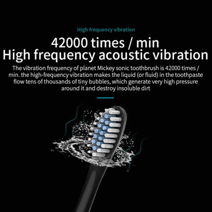 Rechargeable Ultrasonic Soft Bristle Electrical Toothbrushes Flosser 6 Gear With 4 Brushes(Black) - Toothbrushes by buy2fix | Online Shopping UK | buy2fix
