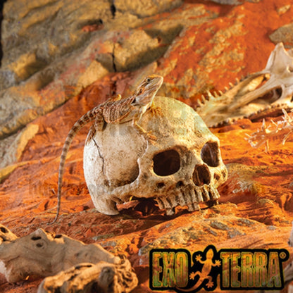 Fish Tank Aquarium Decoration Spider Lizard Snake Python Skull Breeding House Hiding Ornament(Pirate Skull) - Reptile Supplies by buy2fix | Online Shopping UK | buy2fix