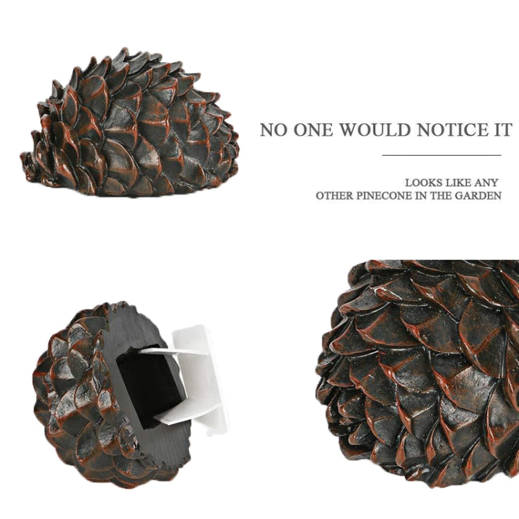 Simulated Stone Pine Nut Safe Key Box For Hiding Private Money, Shape: Stone by buy2fix