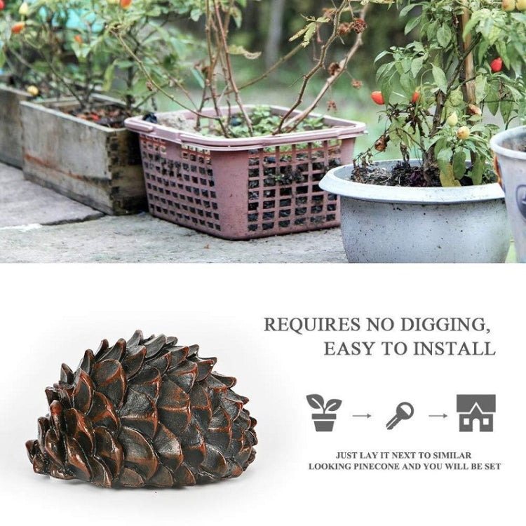 Simulated Stone Pine Nut Safe Key Box For Hiding Private Money, Shape: Stone by buy2fix