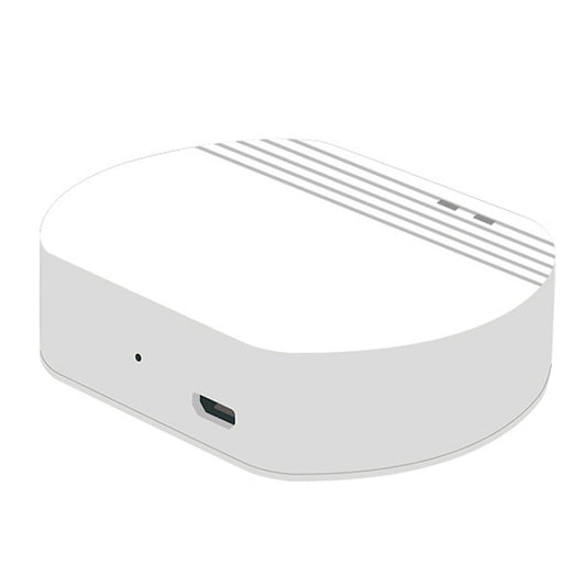 Ewelink Whole House Smart Home ZigBee Wireless Gateway with SONOFF Gateway Devices(EV-WG-2) - Smart Switch by buy2fix | Online Shopping UK | buy2fix