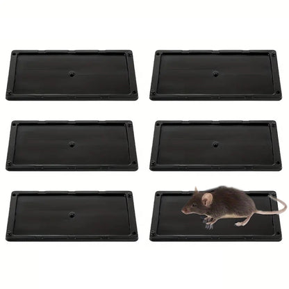 TBD06050125.jpg@1a5d5a411df384d0ba95945e92d4a494