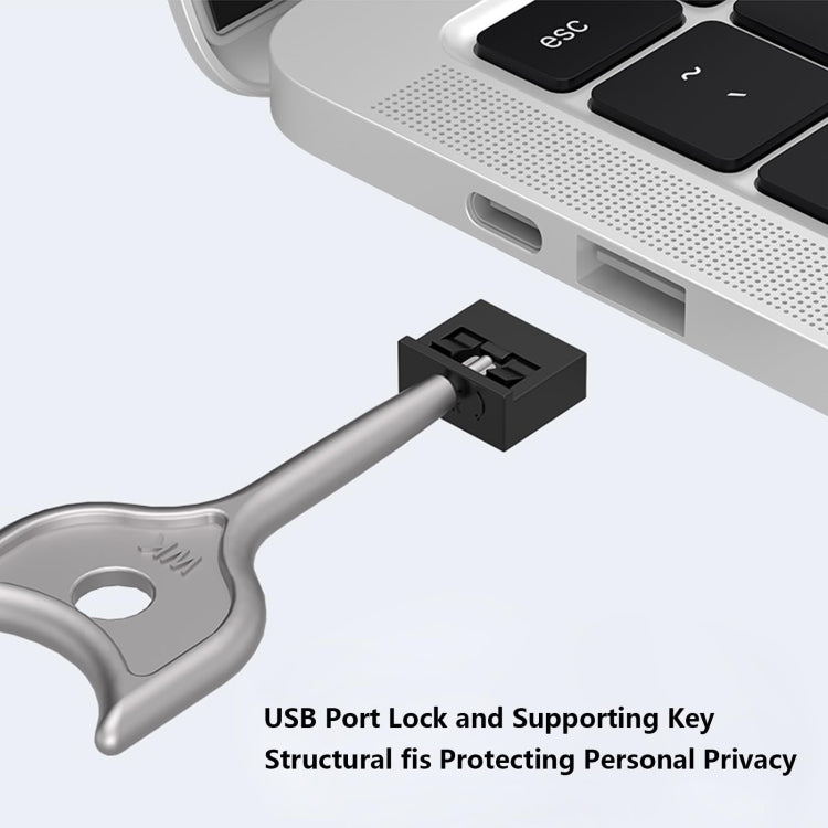 Computer USB 2.0/3.0 Sealing Lock Removable Dust Plug, Color: Gray 2 Plug+1 Key - Anti-Dust Plugs by buy2fix | Online Shopping UK | buy2fix
